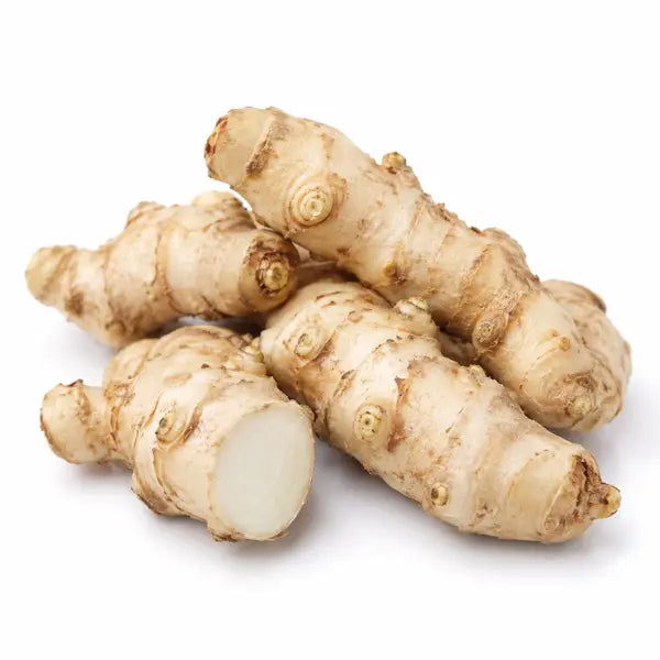 Fresh white haldi roots on a white background