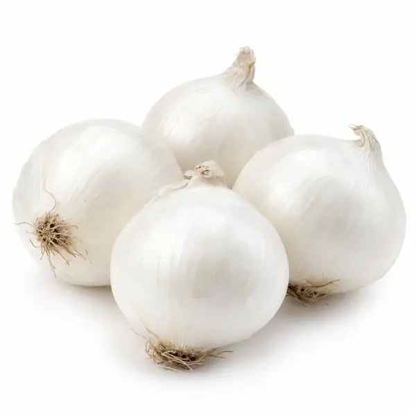 Fresh white onions on a white background