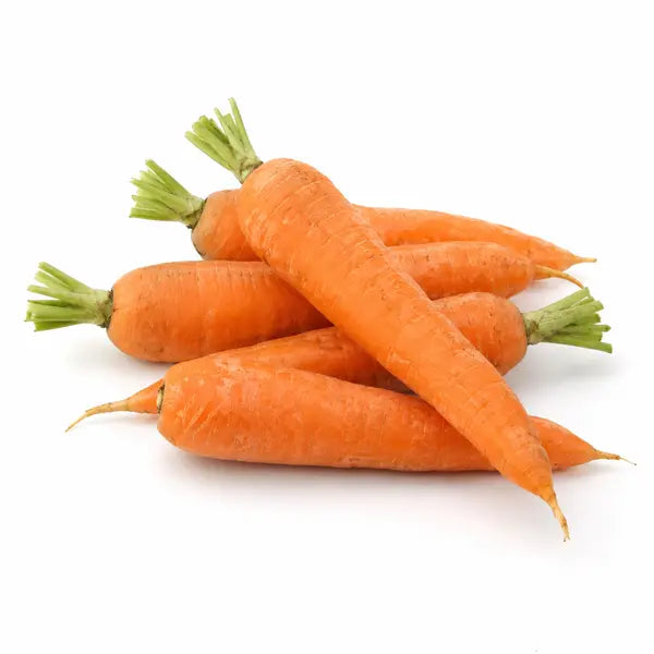 Fresh British carrots on a white background