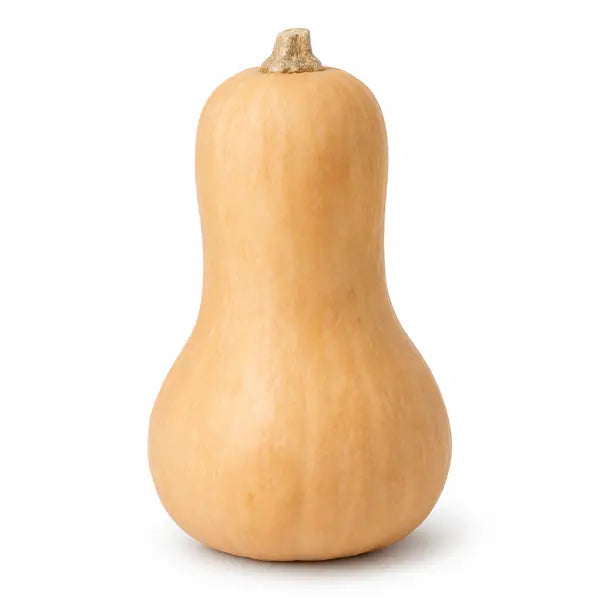 Fresh whole butternut squash on a white background