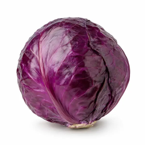 Fresh whole red cabbage on a white background