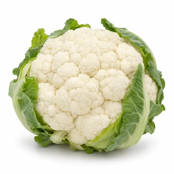 Fresh large cauliflower on a white background
