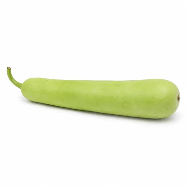 Fresh long dudhi bottle gourd on a white background