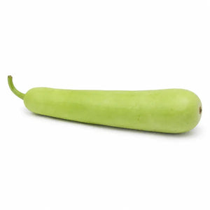Fresh long dudhi bottle gourd on a white background