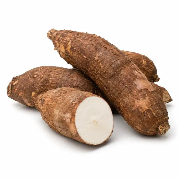 Fresh cassava roots on a white background