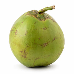 Fresh uncut green coconut on a white background
