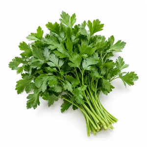 Fresh parsley bunch on a white background