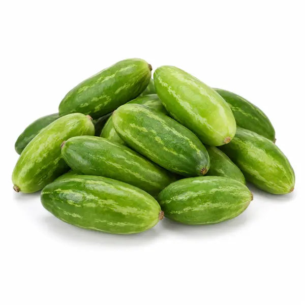 Fresh tindora ivy gourds on a white background