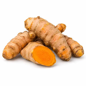 Fresh turmeric roots on a white background