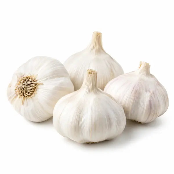 Fresh loose garlic bulbs on a white background