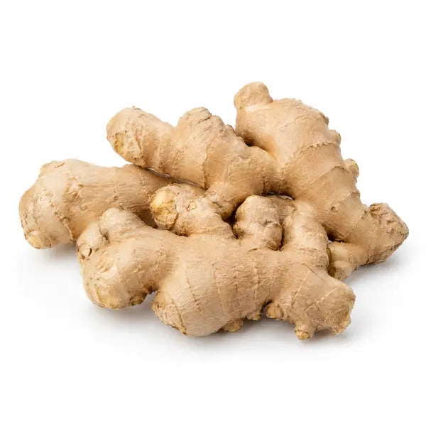 Fresh ginger roots on a white background