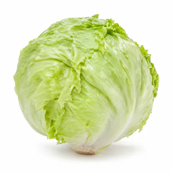 Fresh iceberg lettuce on a white background
