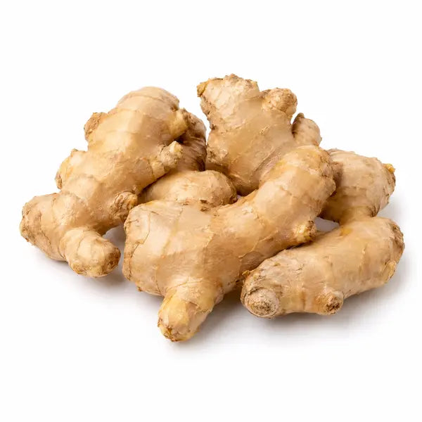 Fresh Indian ginger roots on a white background
