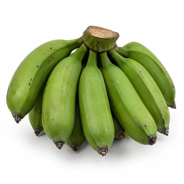 Fresh green matoke cooking bananas on a white background