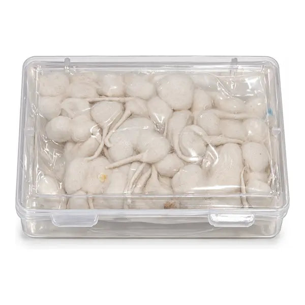 Round cotton wicks baati in storage box pack of 100