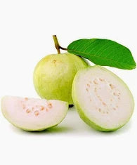 Indian Guava