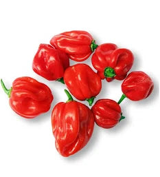Shop Hot Pepper at Grocerywala