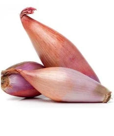 Shallot Onion