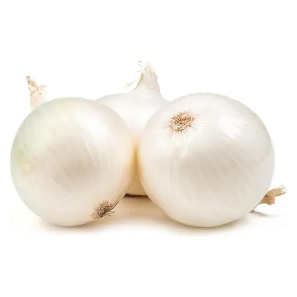 Fresh white onion bulbs on a clean white background